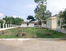 B612-20200414-083242-463.jpg