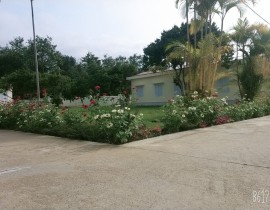 B612-20200414-083345-179.jpg
