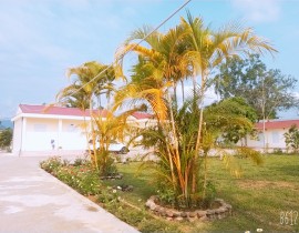 B612-20200414-083603-165.jpg