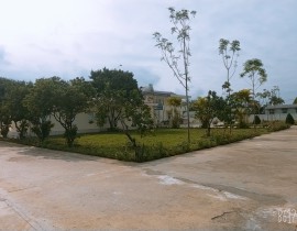 B612-20200414-083721-350.jpg