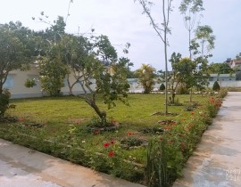 B612-20200414-083742-217.jpg