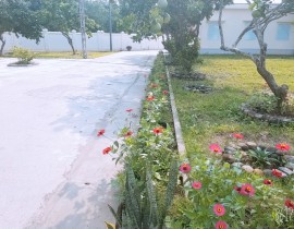 B612-20200414-083801-156.jpg