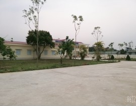 B612-20200316-084807-064.jpg