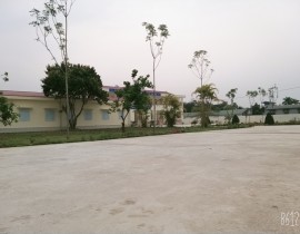 B612-20200316-084813-586.jpg