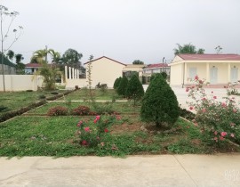 B612-20200316-084946-241.jpg