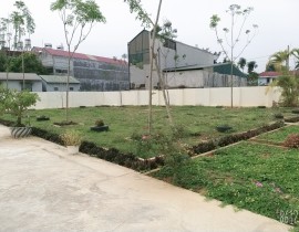 B612-20200316-084949-849.jpg