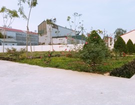 B612-20200320-081519-180.jpg