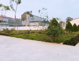 B612-20200320-081523-969.jpg