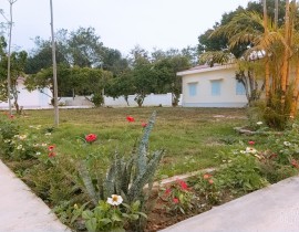 B612-20200320-081905-435.jpg