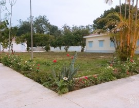 B612-20200320-081915-789.jpg